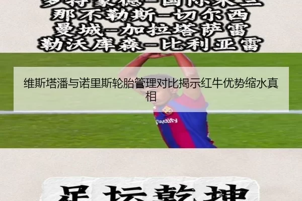 维斯塔潘与诺里斯轮胎管理对比揭示红牛优势缩水真相